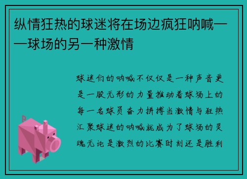 纵情狂热的球迷将在场边疯狂呐喊——球场的另一种激情