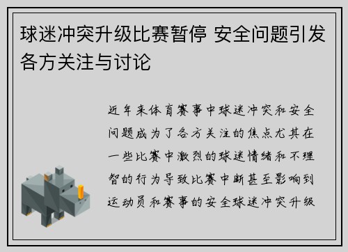 球迷冲突升级比赛暂停 安全问题引发各方关注与讨论